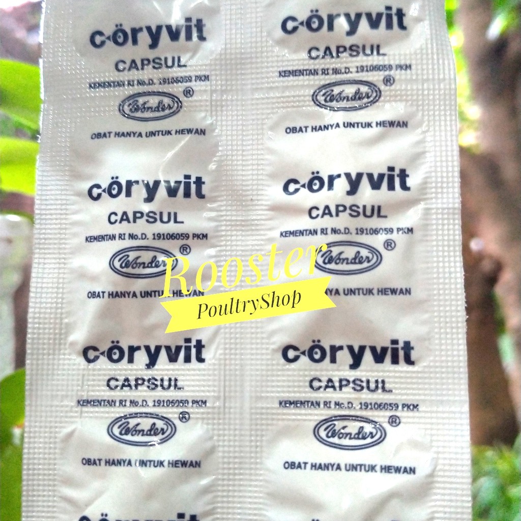 CORYVIT KORIVIT Obat Ayam Sakit Obat Ayam Ngorok Snot Flu Ayam Pilek Ayam