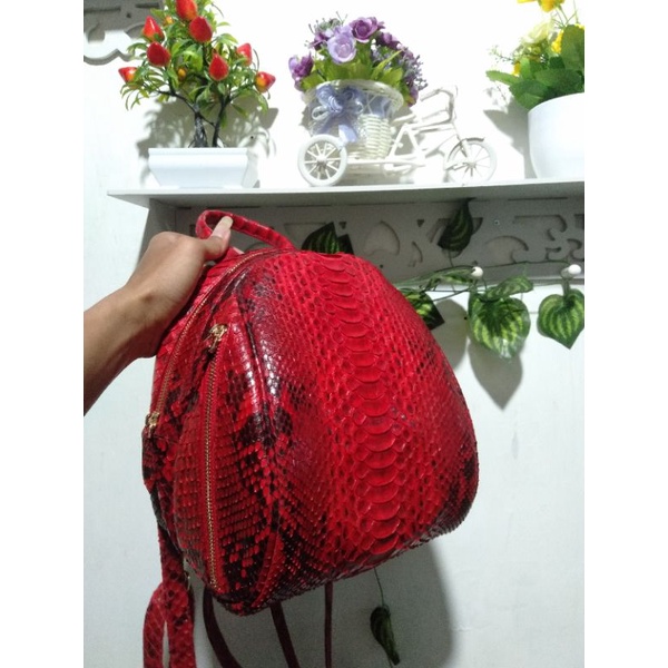 tas ransel kura kura ukuran 25