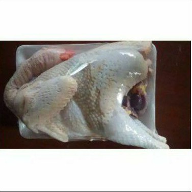 

ayam kampung 1ekor ukuran 1-1,3kg