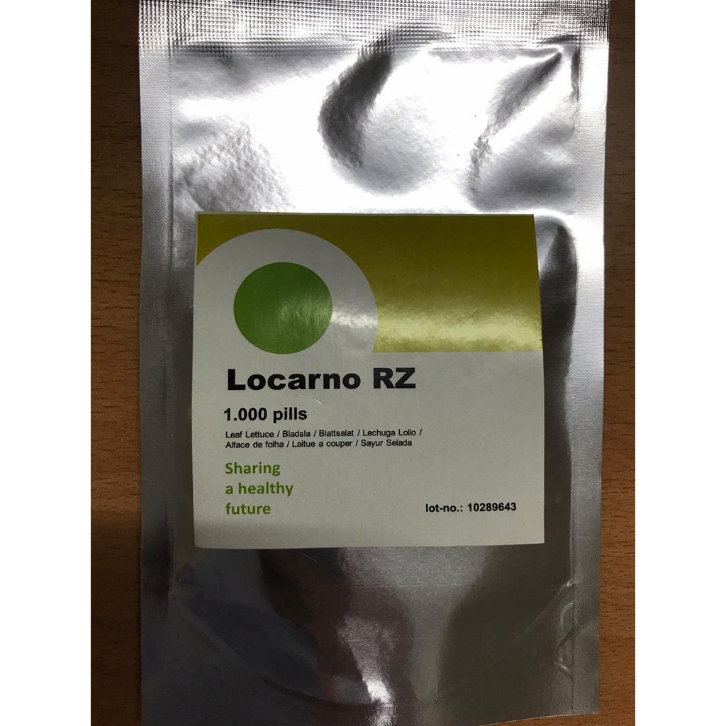 Benih Locarno RZ Green Lollo Lettuce Locarno Rijk Zwaan - 1000 pills