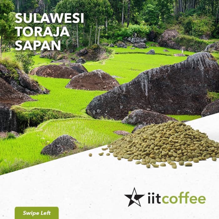 

MURAH Arabica Green Beans - Sulawesi Toraja Sapan SemiWashed - 1Kg