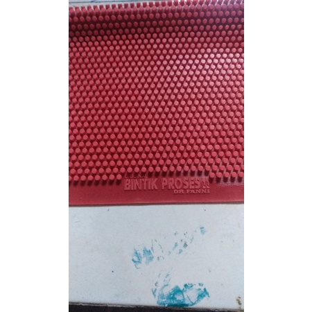 BINTIK PROSES II DR FANNI