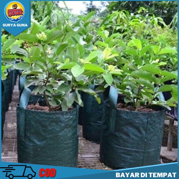 Jual Planter Bag 40 Liter Planter Bag Jambu