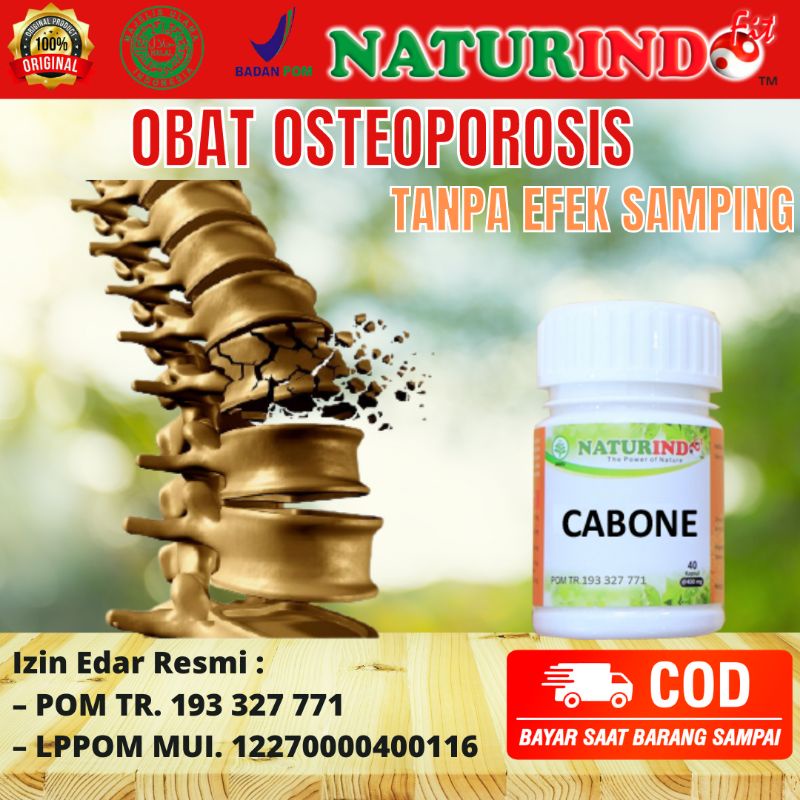 Obat Osteoporosis Ampuh Tulang Keropos Patah Tulang Nyeri Sendi Tulang Nyeri