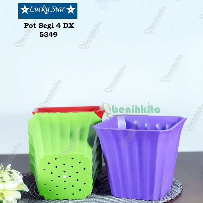 Pot Tanaman-Bunga Segi Violeta 5349-DX (Lucky Star)