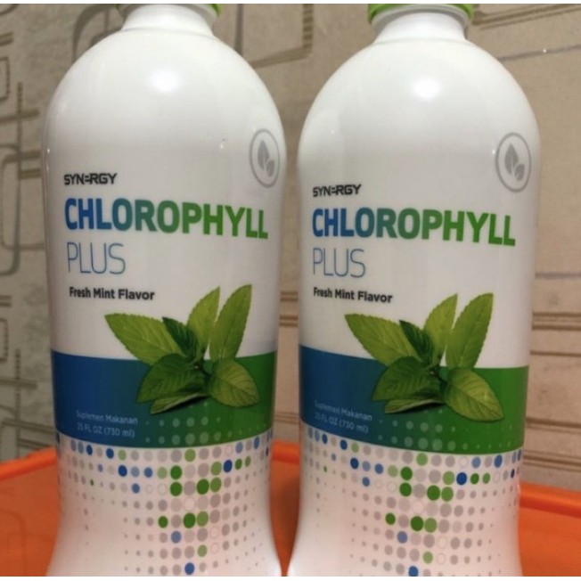 Chlorophyll Klorofil Synergy