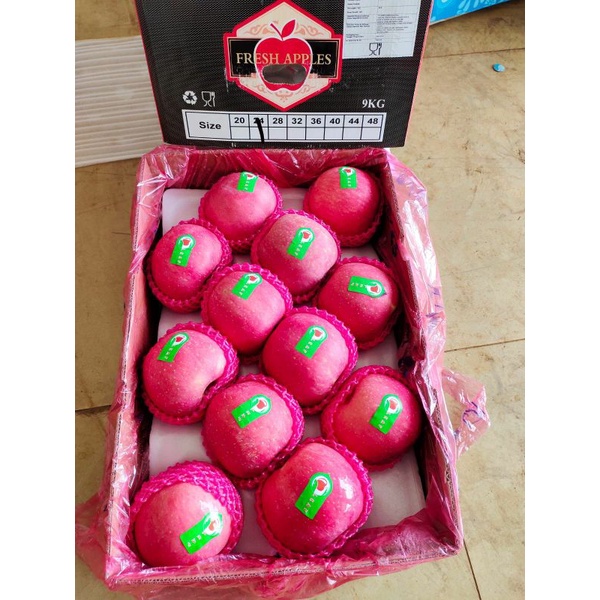 

Apel Fuji Blush Leaf Premium 9 Kg