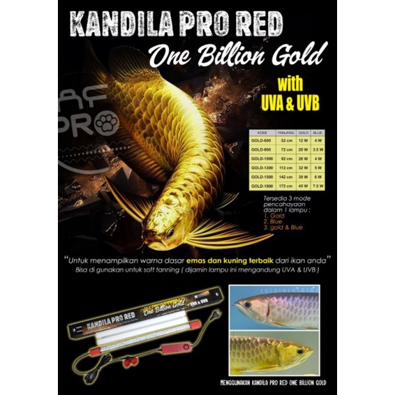 LAMPU LED TANNING AQUARIUM KANDILA PRO RED ONE BILLION GOLD  600 800 1000