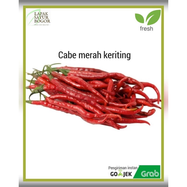 

cabe merah keriting segar 100gram