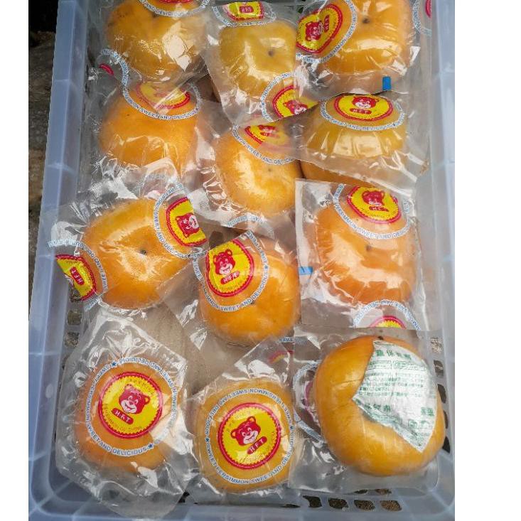 

Stock Banyak I6LJQ Persimon / Kesemek Import *READY kirim hari ini* 71