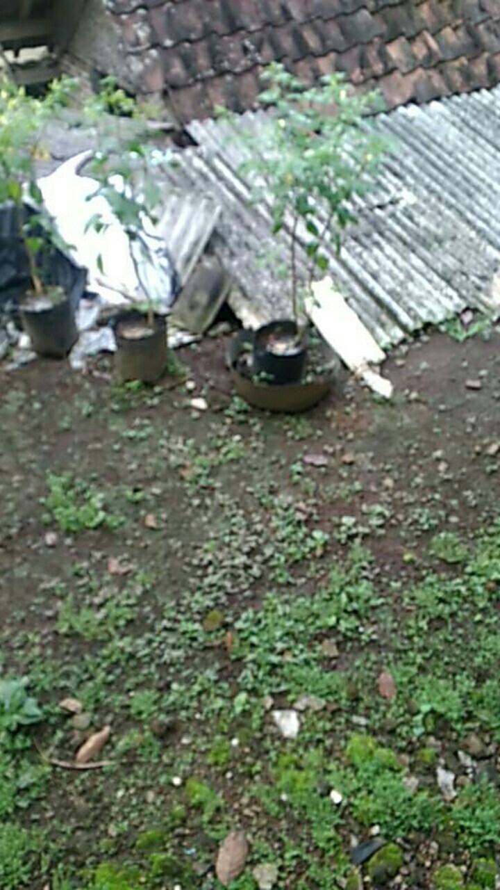 Coupel Batik Gamis New