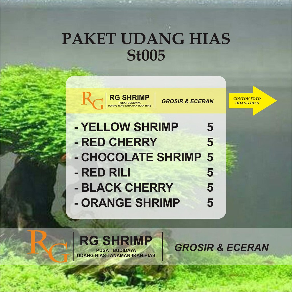 Paket udang hias aquascape ST005
