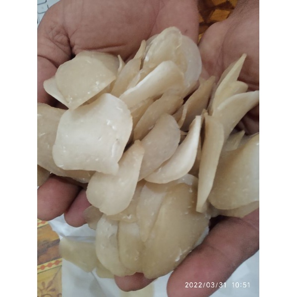 

Krupukbandengwayus