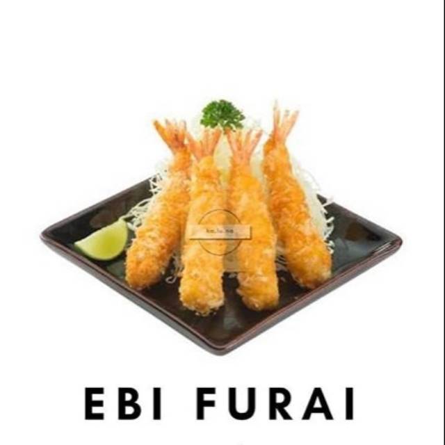 

EBI FRY SUPER PREMIUM