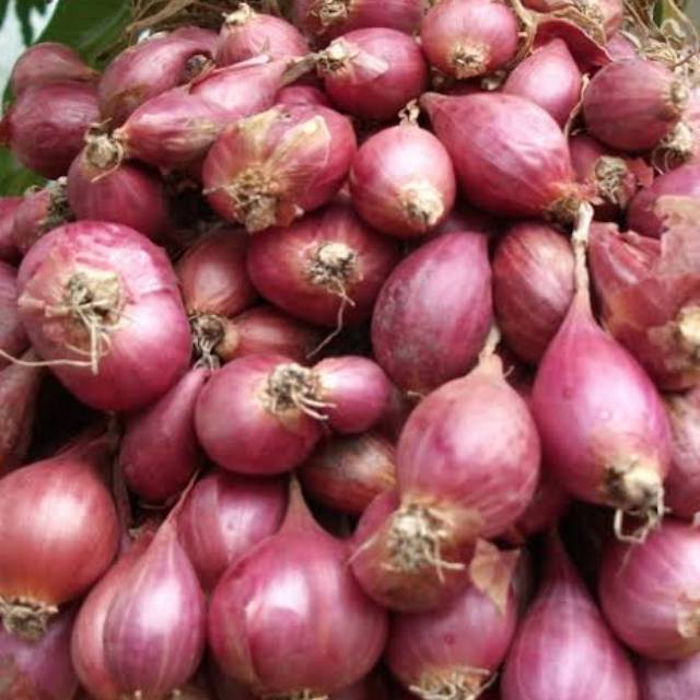 

Bawang merah 100 gr