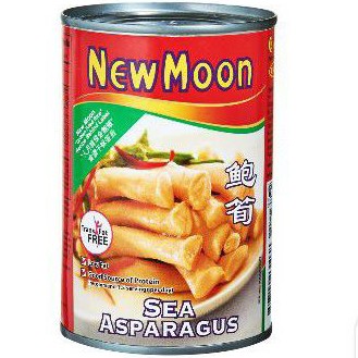 

New moon sea asparagus