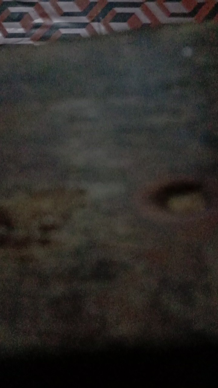 Tunik Cendrawasih Batik Sogan