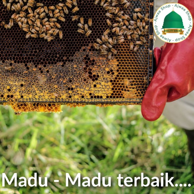 

QH Wild Desert Flowers Honey Madu Yaman Mara'i Premium 1 Kg