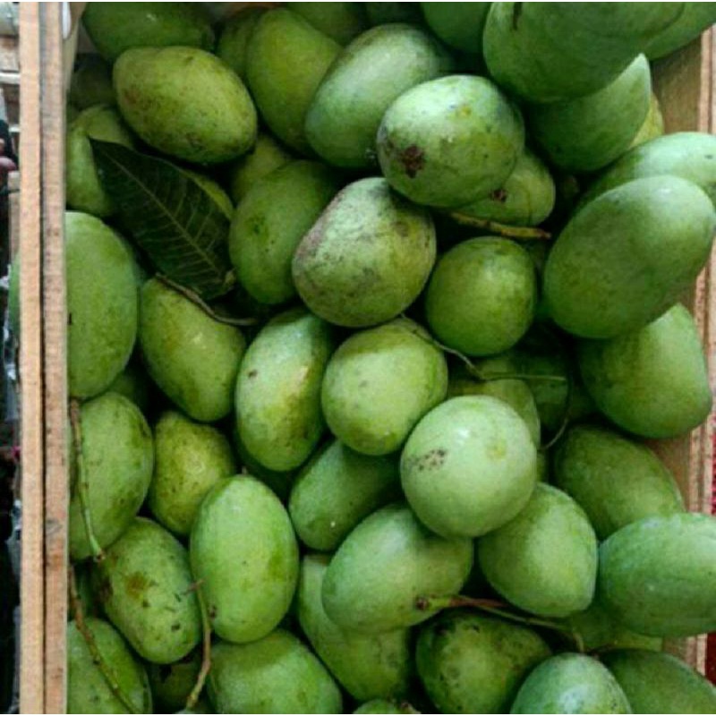 

Asam Mangga Muda 1 kg