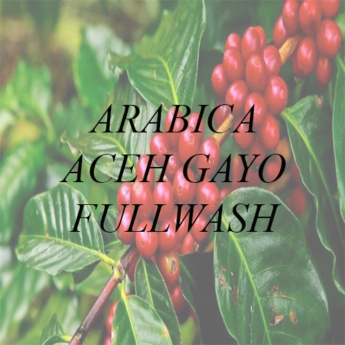 

[Green Bean] Arabika Gayo Fullwash