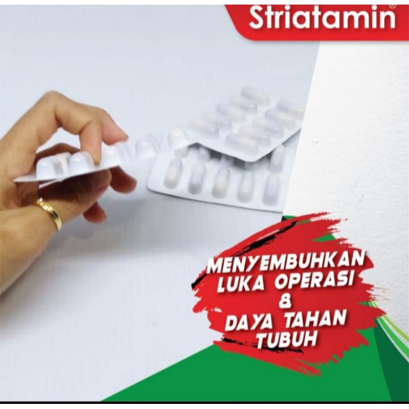 striatamin suplemen kapsul albumin ekstrak ikan gabus 1 strip