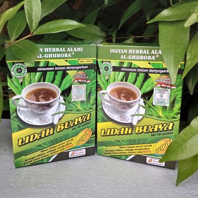 

Instan Lidah Buaya Kotak I Al-Ghuroba I Minuman Herbal Sehat dan Menyegarkan