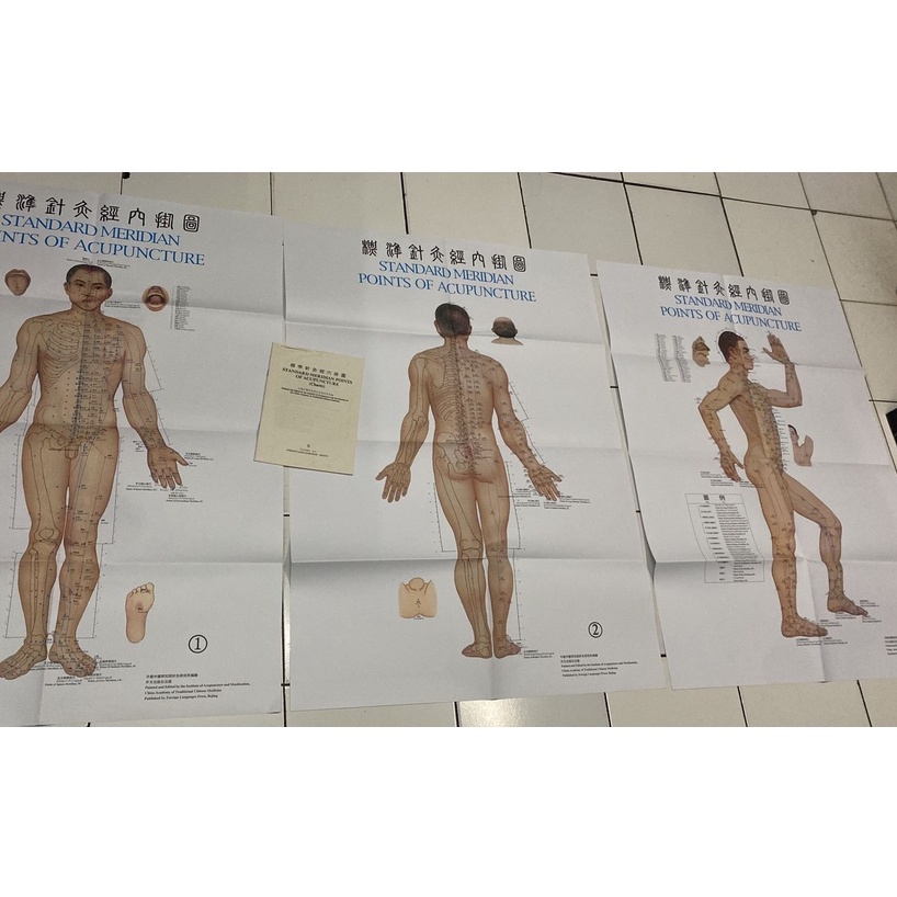 Gambar / Poster Titik Akupuntur Pria