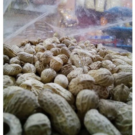 

KACANG SANGRAI SUPER