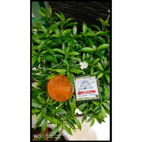 sabun bexindo greantea Ori