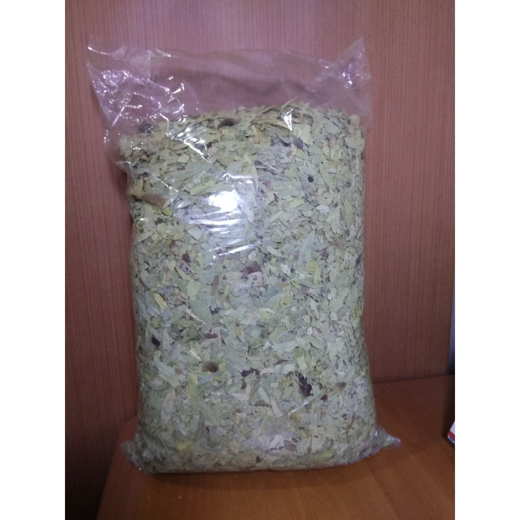 

Promo Termurah Teh Daun Jati 1 kg
