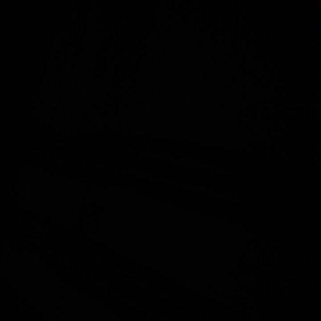 100seed  Bibit Benih Biji Impatien Balsamina Bunga Pacar Air Pink Tumpuk