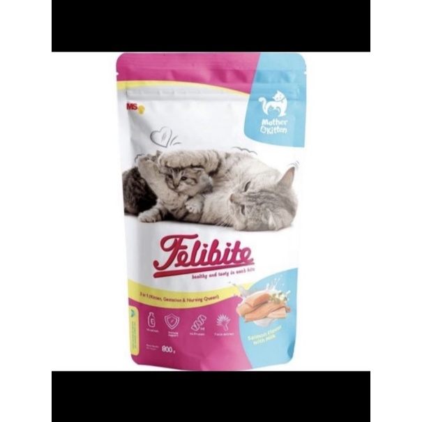 felibite mother &amp; kitten 800gr