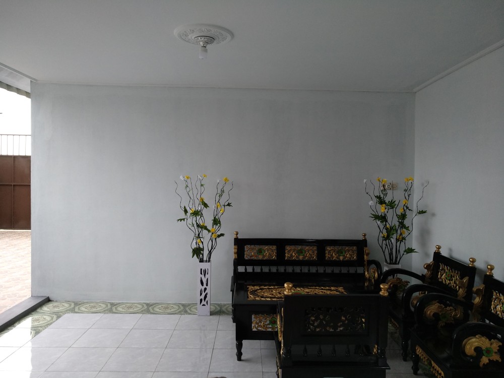 Bambu Ulir Daun Maple