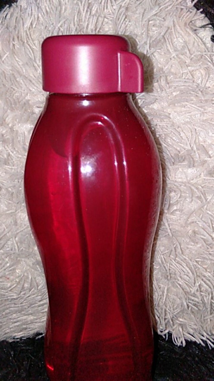 Bread N Saver Warna Warni Indonesia / Malaysia (1 Pcs) Kotak Roti / Kue Tupwr