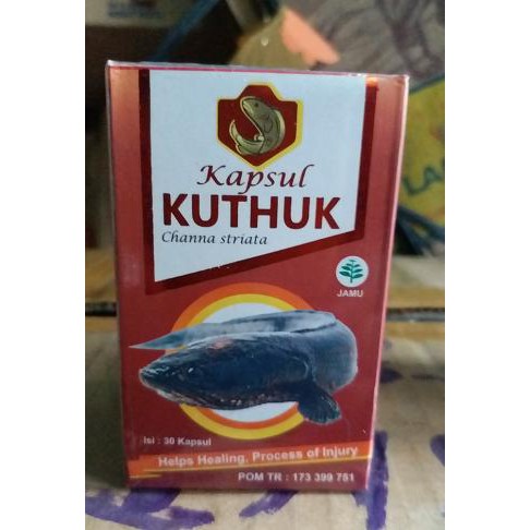 Albumin Kuthuk Ekstrak ikan Gabus