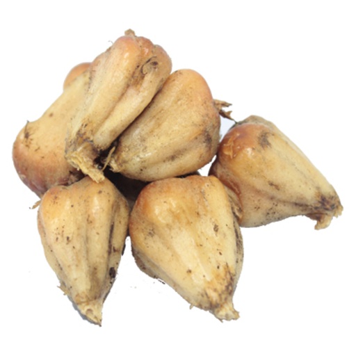

Asam Cekala /250gr
