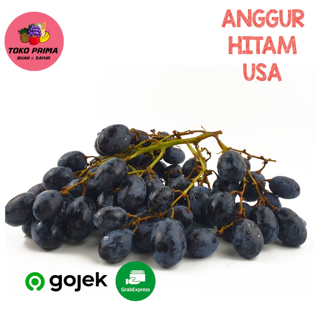 

Buah Anggur Hitam USA