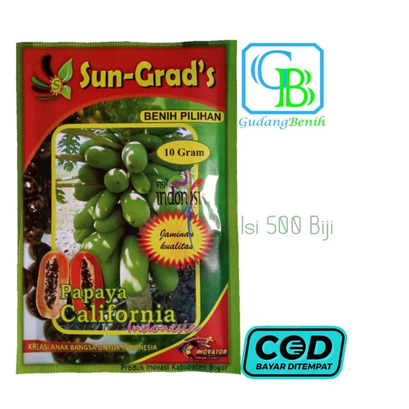 Benih pepaya california Isi 500 Biji Benih Pepaya California Unggul Bibit pepaya california Kates Be