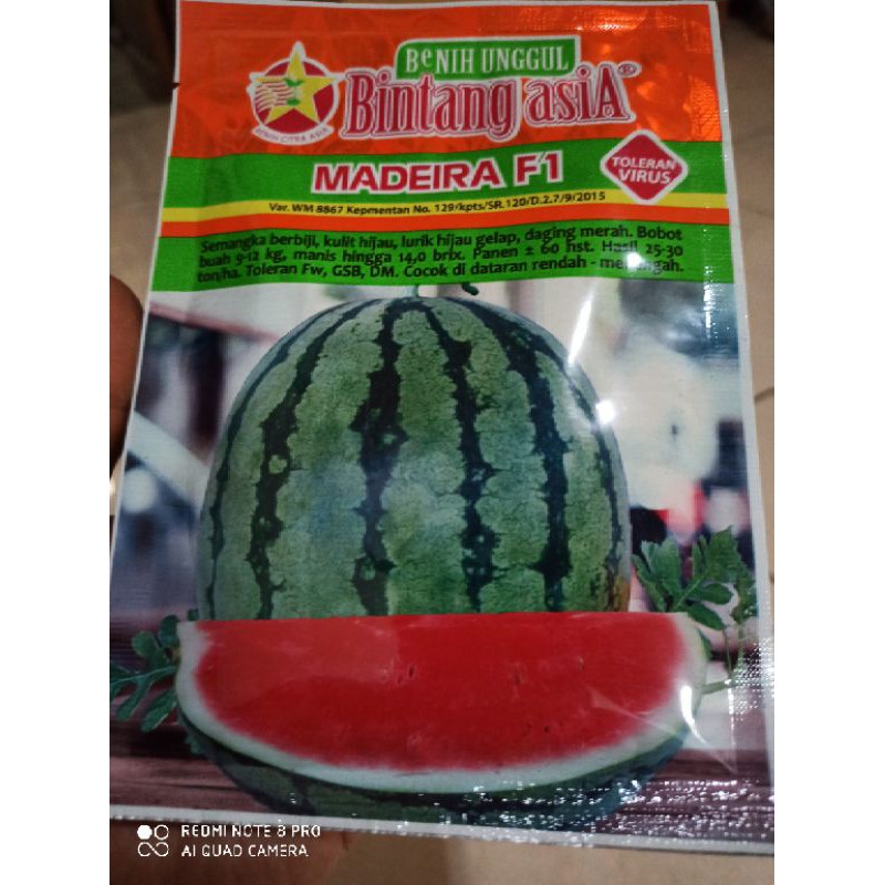 Benih Semangka Madeira F1