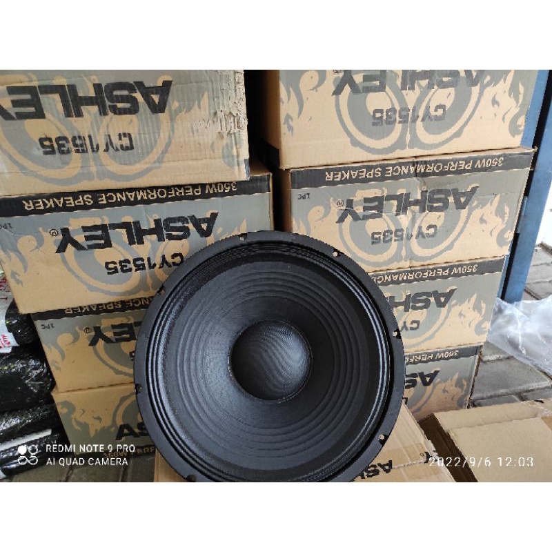 Speaker 15 inch Ashley CY1535 350Watt Mid Low