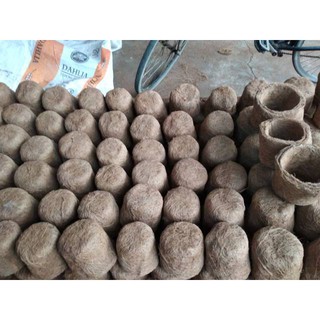 Asli Pot  Bunga  Pot  tanaman Pot  Anggrek  dari  bahan 