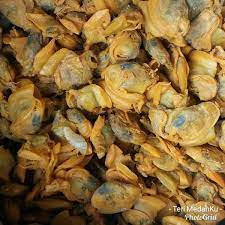 

Kerang Asin 100gr Kering Medan