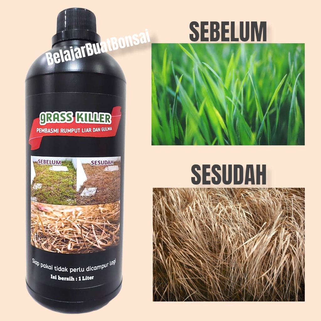 Herbisida Pembasmi Rumput Liar Gulma Grass Killer Siap Pakai 1 Liter