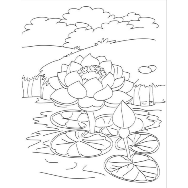

Gambar/sketsa mewarnai tema bunga untuk anakanak