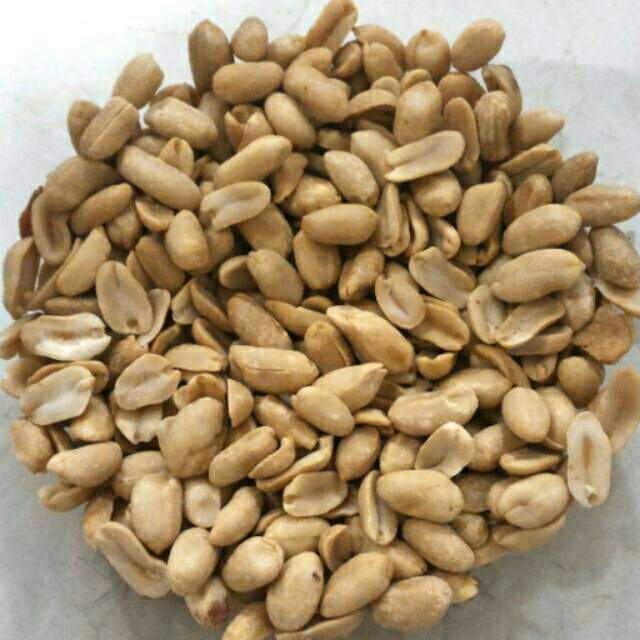 

Kacang bawang