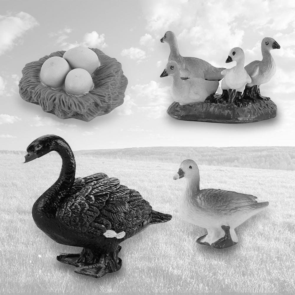 Needway Life Cycle Figure Science Kids Swan Model Hen Miniatur Mainan Edukasi Cycle Bebek Figurine