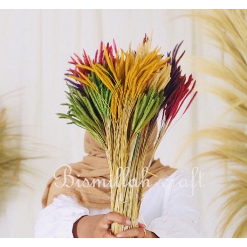 PROMO LAGURUS PENDEK ISI 30-40biji bunga craft bunga kapas daun pakis kering  caspea bunytail edelwe