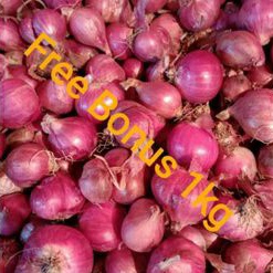 

Bawang Merah Brebes Besar 1 kg + Gratis Bonus