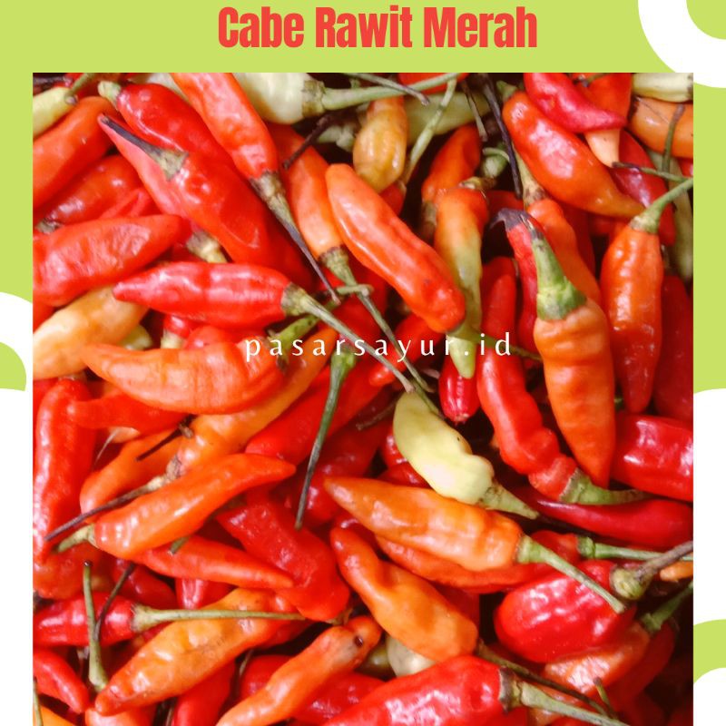 

Cabai Rawit Merah | Cabe Rawit Merah | Grosir Cabe | Cabe Rawit 250 Gram