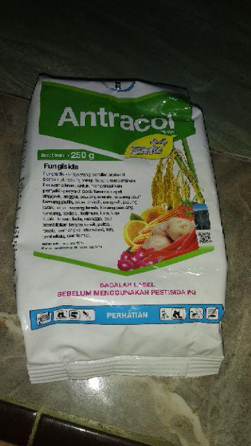 Fungisida Antracol 70wp + Zinc 250 Gram